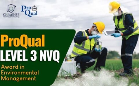 WhatsApp-Image-2025-04-30-at-1.24.42-PM-1-768x461